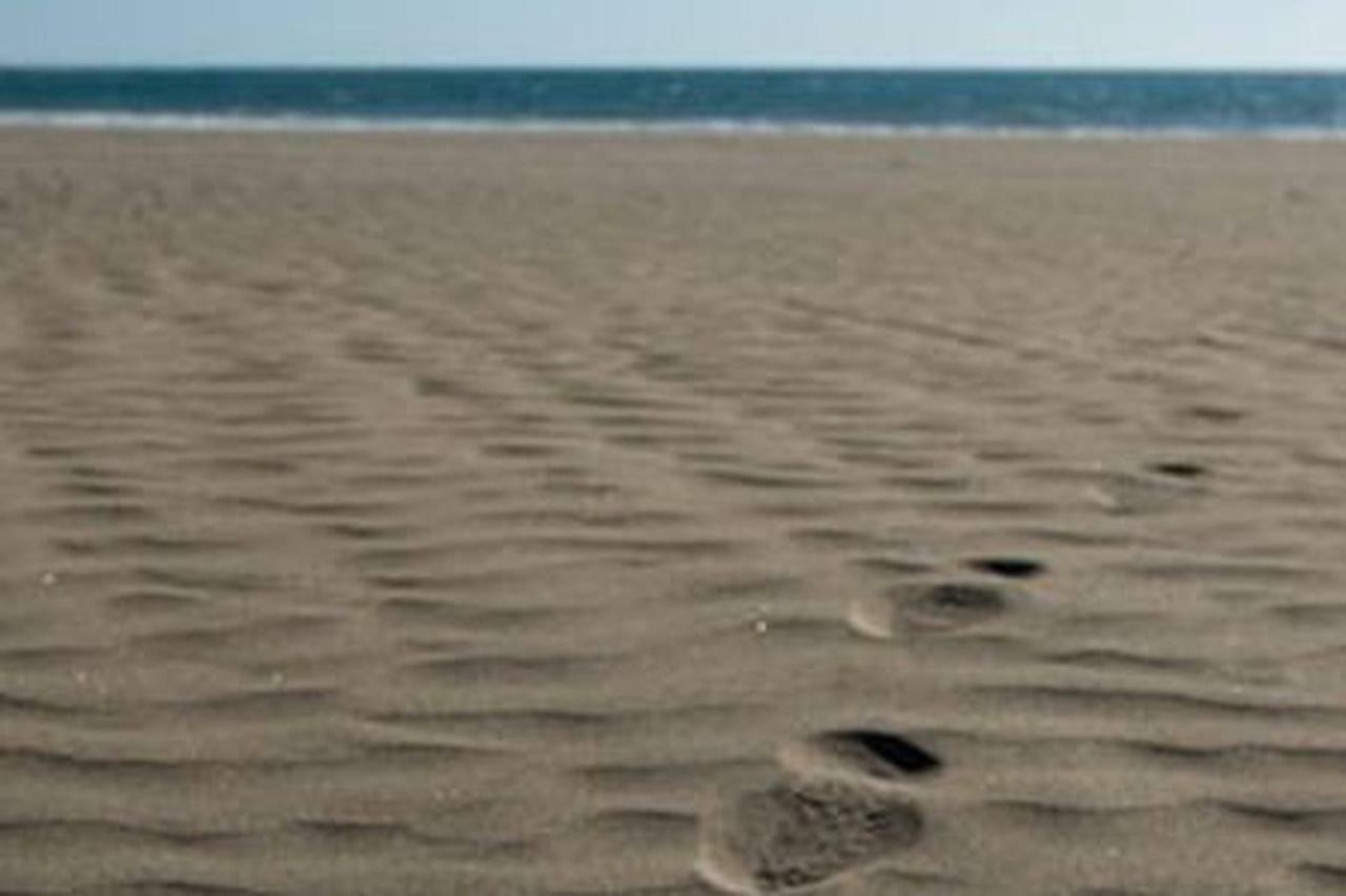Primera Linea De Playa De Las Burras San Agustín Екстериор снимка